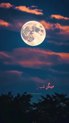 میگن شب آرزوهاست...