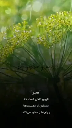 صبر داروی تلخی است که