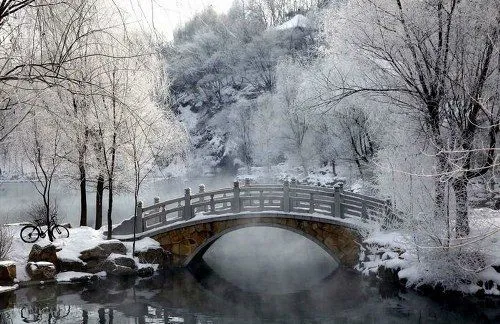 طبیعت زیبای زمستان