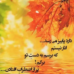 گوناگون کامران123 16311926