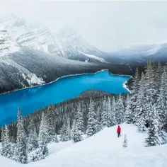 دریاچه پی‌تو ( Peyto Lake) نام دریاچه‌ای است در رشته‌کوه 