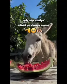 قربونتون برم رفیقای اوسکل من🤣