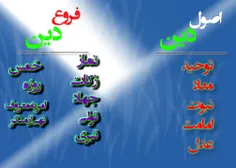 درست است باطن و اصول دین مهم تر و اصل و محور کار است اما 