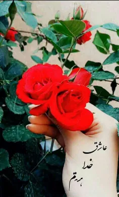 ❤أَ لَیْسَ اللَّهُ بِکافٍ عَبْدَهُ❤