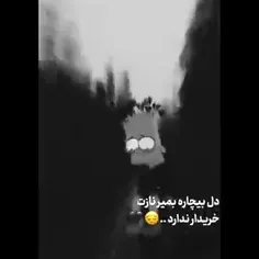 ممنون‌میشم‌فالوم‌کنید🙃