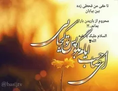 گوناگون gol-e-narges 27524357