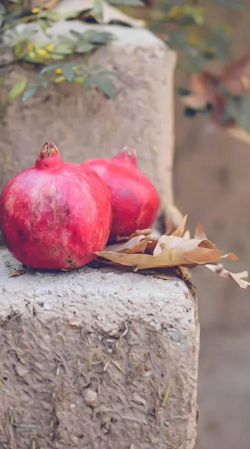 براے چاره ے دلخون ترین گرفتارت