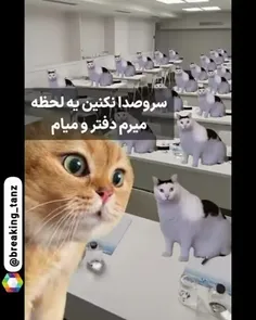 اون لحظه خیلی خوبع😂🤝