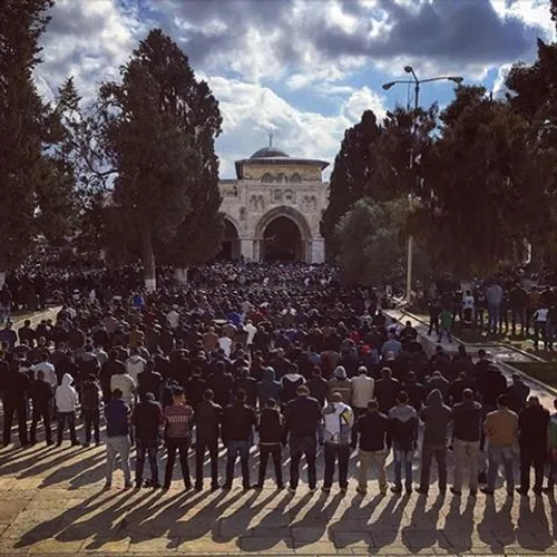 Friday prayers in Al-Aqsa Mosque, Jerusalem. iPhone photo