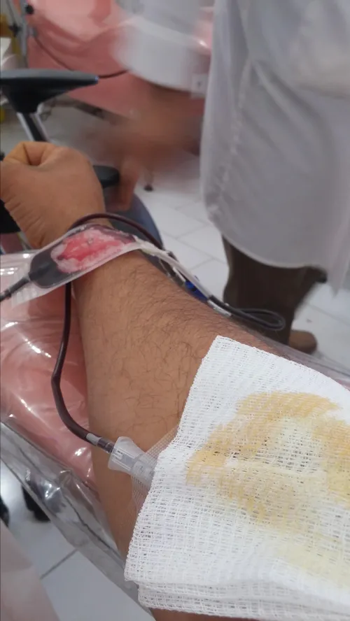 سازمان انتقال خون