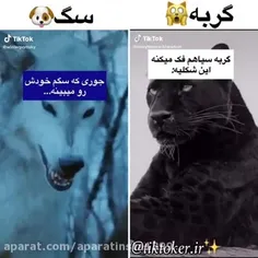 ودف😂😂😐😐