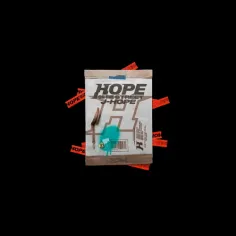 مقاله منتشر شده در ویورس در ارتباط با انتشار آلبوم "HOPE 