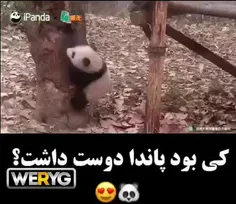 من که میگم اینا خنگ های دوست داشتنین💛