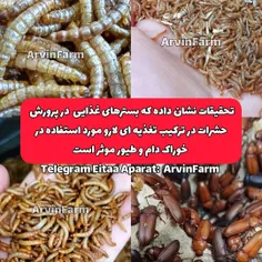 تحقیقات حشرات پرورشی در دنیا ایران