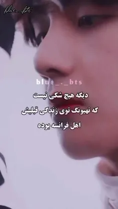 تهیونگ تو زندگی قبلیش اهل فرانسه بوده