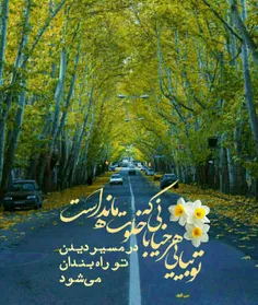 امام مهربانم 