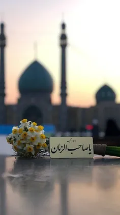 ✨️اسلام علیک یا صاحب الزمان 