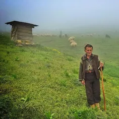 A shepherd in a green pasture. #Gilan, #Iran. Photo by Po