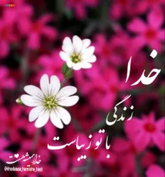 عاشقانه ها shahide25 26412153