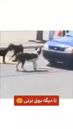 تادیگه بوق نزنی😂