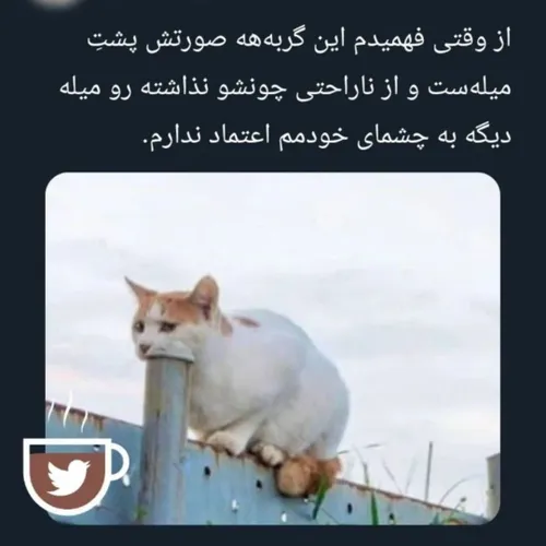 منم همین که خوب نگاه کردم فهمیدم 😐