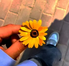 🌼وَ إن أذبلتنا الأيام 