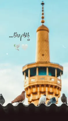 ما‌را‌نگاهی‌از‌تو‌تمام‌است‌اگرکُنی!"🕊☁️