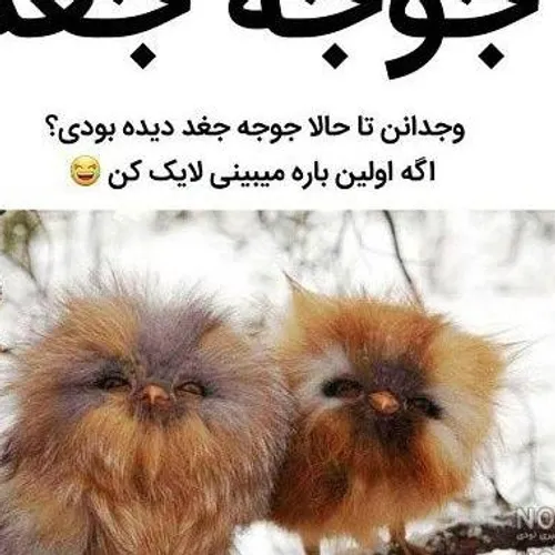  komeilkhaki29 39238119 - عکس ویسگون