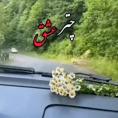 به چشمای تو مدیونم...