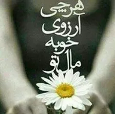 سلام.صبح شنبه همگی بخیر.