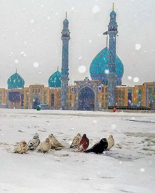 مردی صبح زود از خواب بیدار شد تا نمازش را در خانه خدا (مس