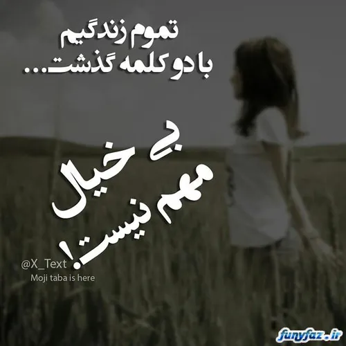 با دو کلمه زندگیم گذشت..............