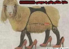 خخ