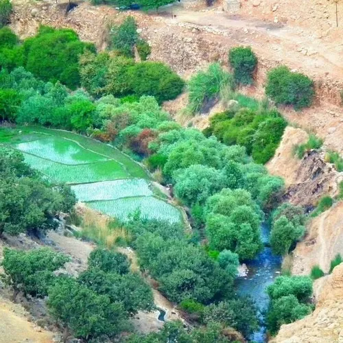 باغملک /خوزستان ✌ ❤