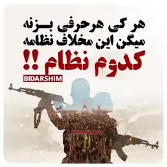 استادفکر توضیح میدهد که نظام اسلامی چیست و درباره چه چیزی