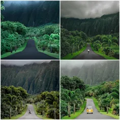 اینها تصاویر جاده ی بوتانیکال گاردن در جزیره لوهایو هاوای