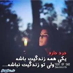 شیرها ادعا میکنند سلطان جنگل اند 