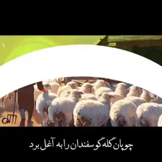 ‌بِسْمِ اللَّهِ الرَّحْمَنِ الرَّحِیمِ