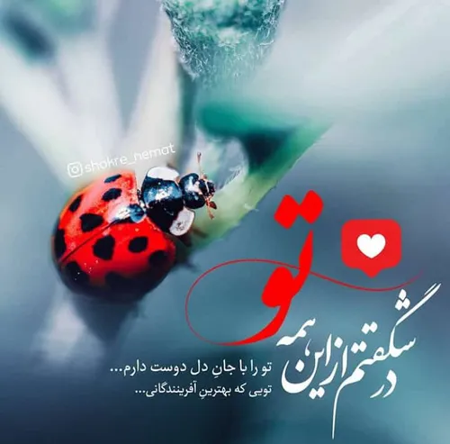 عکس نوشته👌 خدا❤