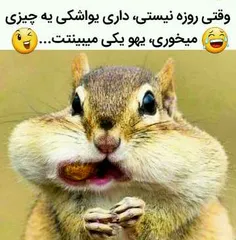 #طنز_طوری_ملی