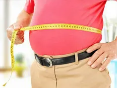طبق نتایج تحقیقات جدید، سایز شکم روی سایز مغز موثر است ! 