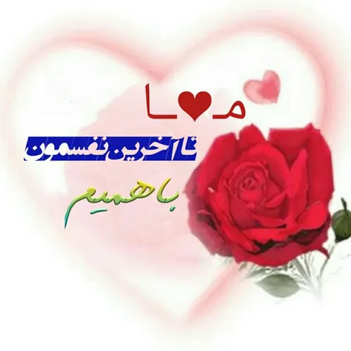 عاشقانه ها yas_rangii 18394043 - عکس ویسگون