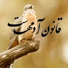 برای خودت زندگی کن نه برای حرفهای پوچ دیگران