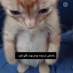 هوووووووو 