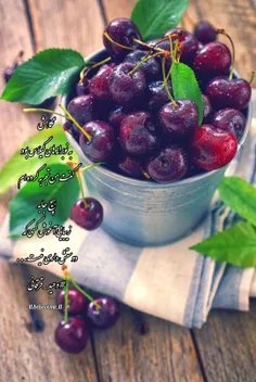 🌱🍒نگاهش