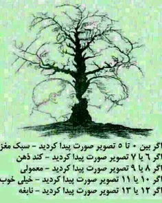 ببینم کی نابغه ست