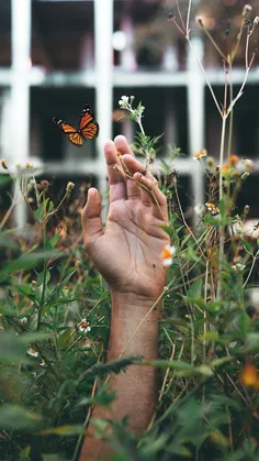 سادگی پاک ترین خطای من بود.....