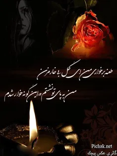 طعنه برخاری من ای گل بی خارنزن....