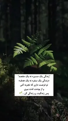 زندگی مقصده:)