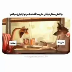 وقتی ماریسا گفت با مرام ازدواج میکنم.. 😂